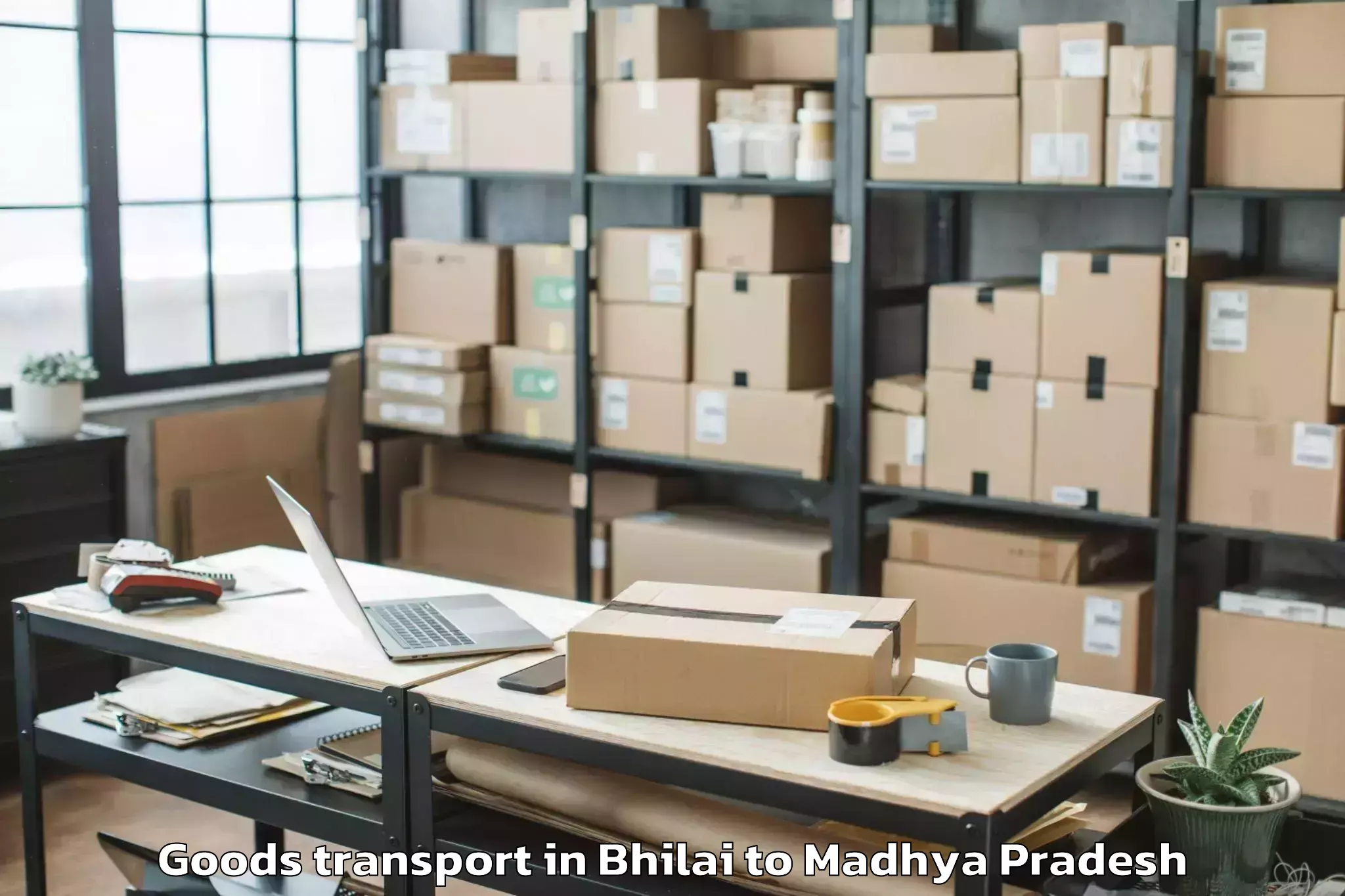 Professional Bhilai to Mahidpur Goods Transport